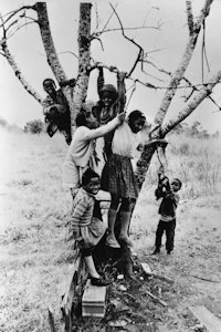 ToL_KidsTree